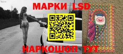СК Новозыбков