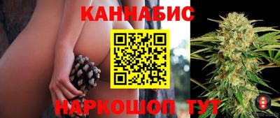 СК Новозыбков