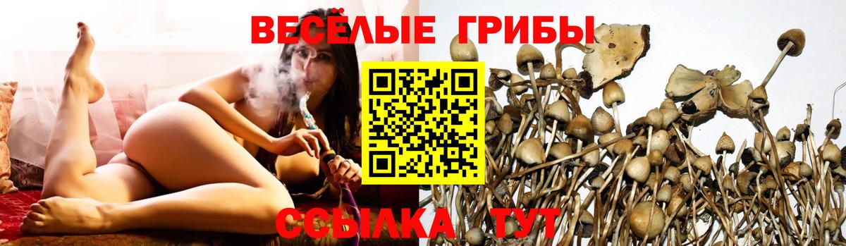 Галлюциногенные грибы GOLDEN TEACHER Щёлково